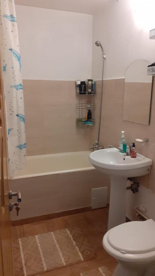 Xenia Apartament คอนสตันซา ภายนอก รูปภาพ